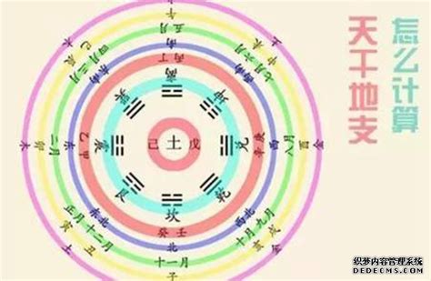 壬辰五行|壬辰年是什么意思 壬辰年五行属什么